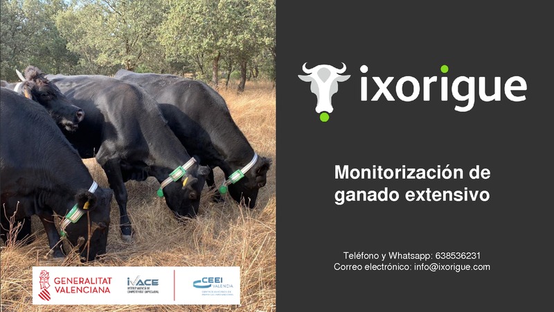 Presentaci�n Ixorigue - Monitorizaci�n de ganado extensivo