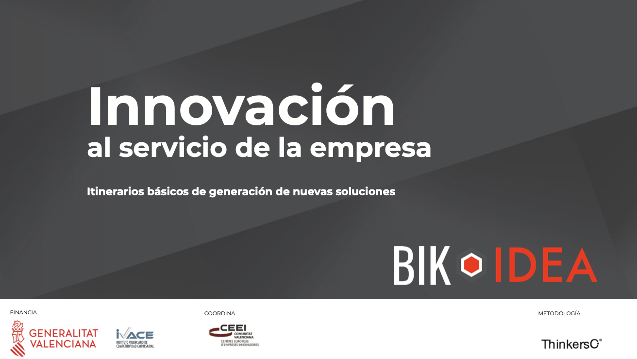 innovaci�n al servicio de la empresa 