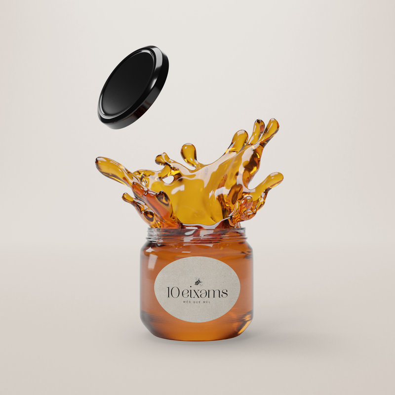 Miel artesanal de 10 Eixams