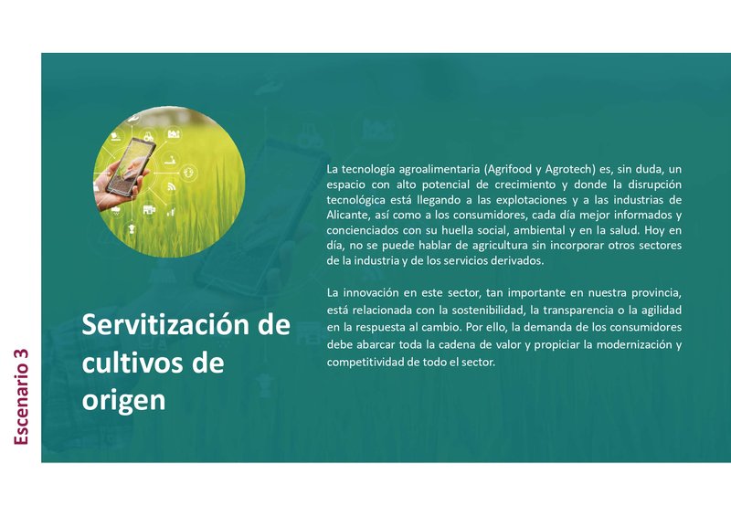 ESCENARIO 3 SERVITIZACI�N