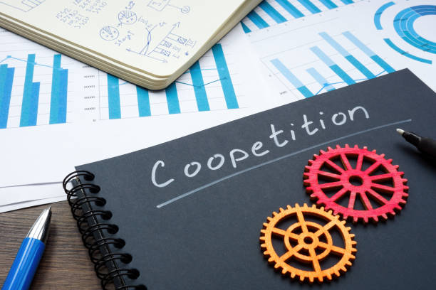 Modelo a seguir de coopetici�n