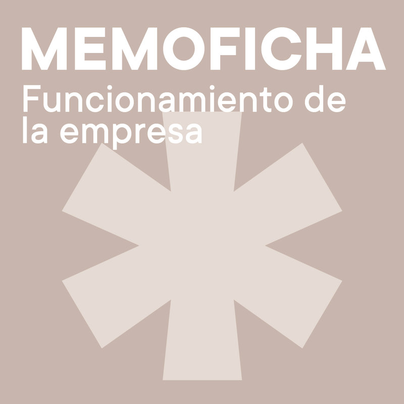 Memofichas C Funcionamiento de la empresa