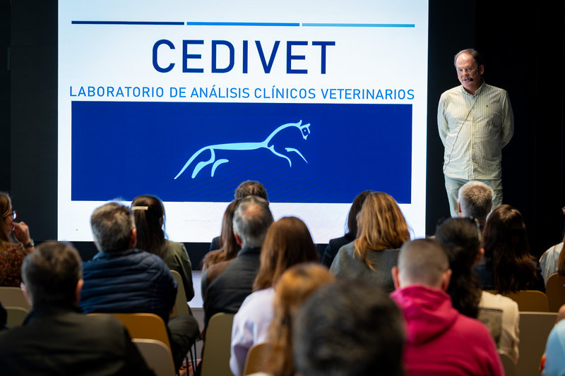 Demo Day 7� Edici�n Scale Up (14)[;;;][;;;]