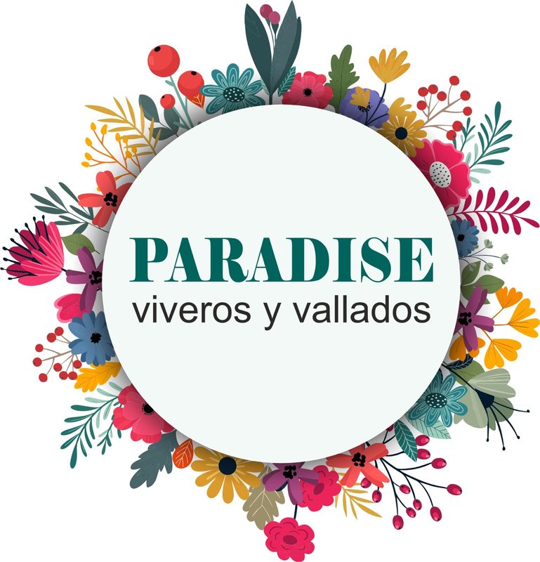 Paradise Viveros impulsa la jardiner�a sostenible en Murcia con una nueva propuesta verde