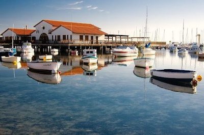 �Por qu� elegir una inmobiliaria Los Alc�zares en 2025?