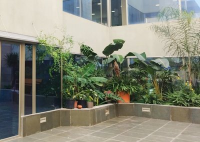 Desayuno networking AESEC & Comunicamos Experience