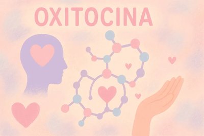 �Qu� papeles juega la oxitocina en nuestro organismo?