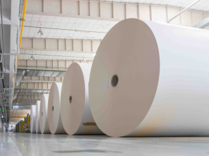 Tratamientos superficiales del papel (TF)