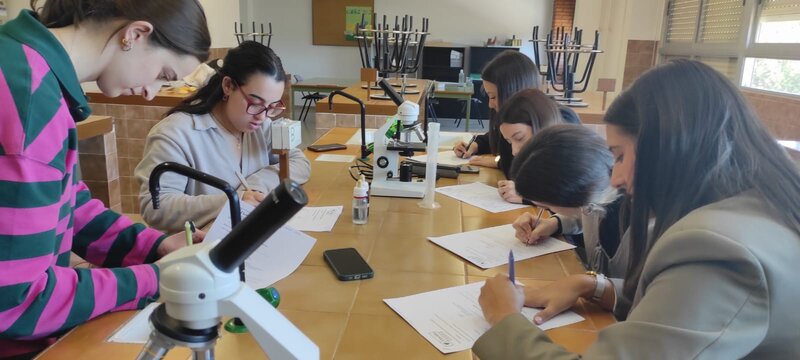 La importancia de despertar la curiosidad cient�fica desde la ense�anza