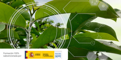 Nuevo curso gratuito: gestiona los recursos h�dricos y optimiza su uso en el sector agrario