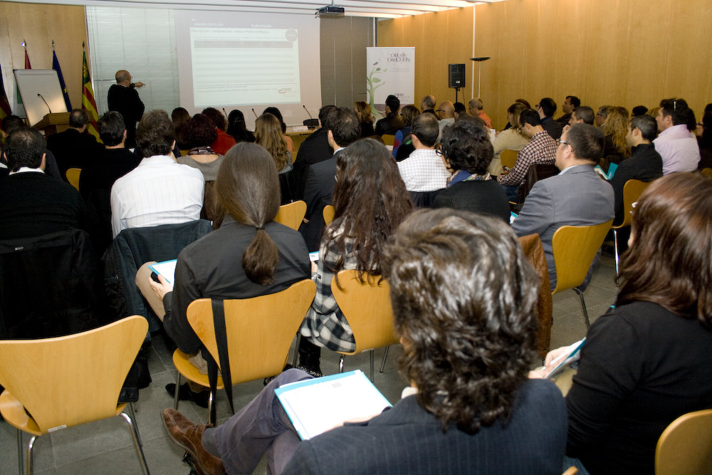 Como establecer el plan de acci�n