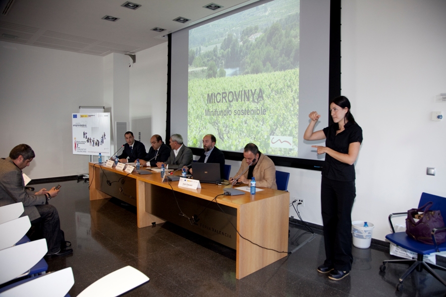 Sesi�n "cooperaci�n territorial" DPECV 2009