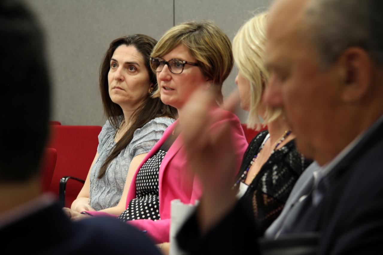 PRIMERA REUNION COMIT� COORDINACI�N Y PROGRAMACION DPECV 2013 06