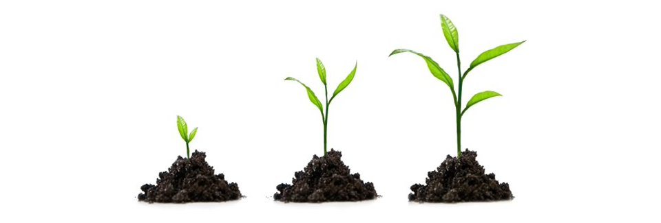 Looking for the best startup accelerator program?