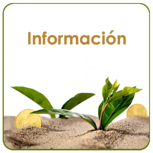 Informaci�n - 11 Foro Financiaci�n CEEI Alcoy