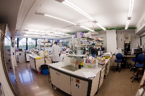 Laboratorio Valentia Biopharma, im�gen