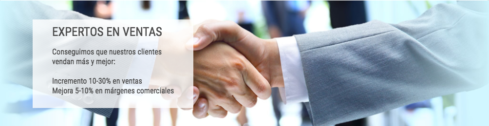 Fuerza Comercial Consultor�a