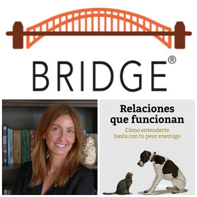 Worshop Modelo Bridge�