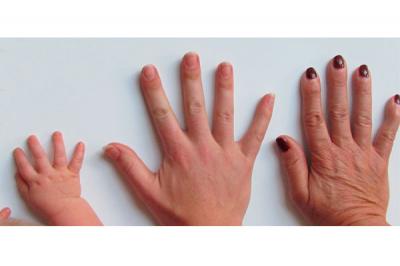 La alimentaci�n en las etapas de la vida