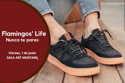 Flamingos' Life: Nunca te pares