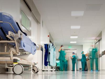 Control de plagas en hospitales. C�mo se hace