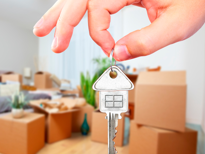 Gu�a pr�ctica de la mudanza econ�mica