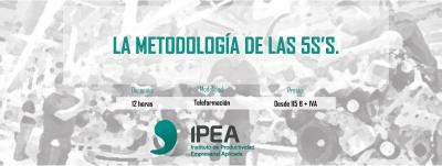 La Metodolog�a de las 5S�s.(Teleformaci�n)
