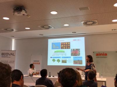 D�a. Mar�a Luisa Badenes, IVIA