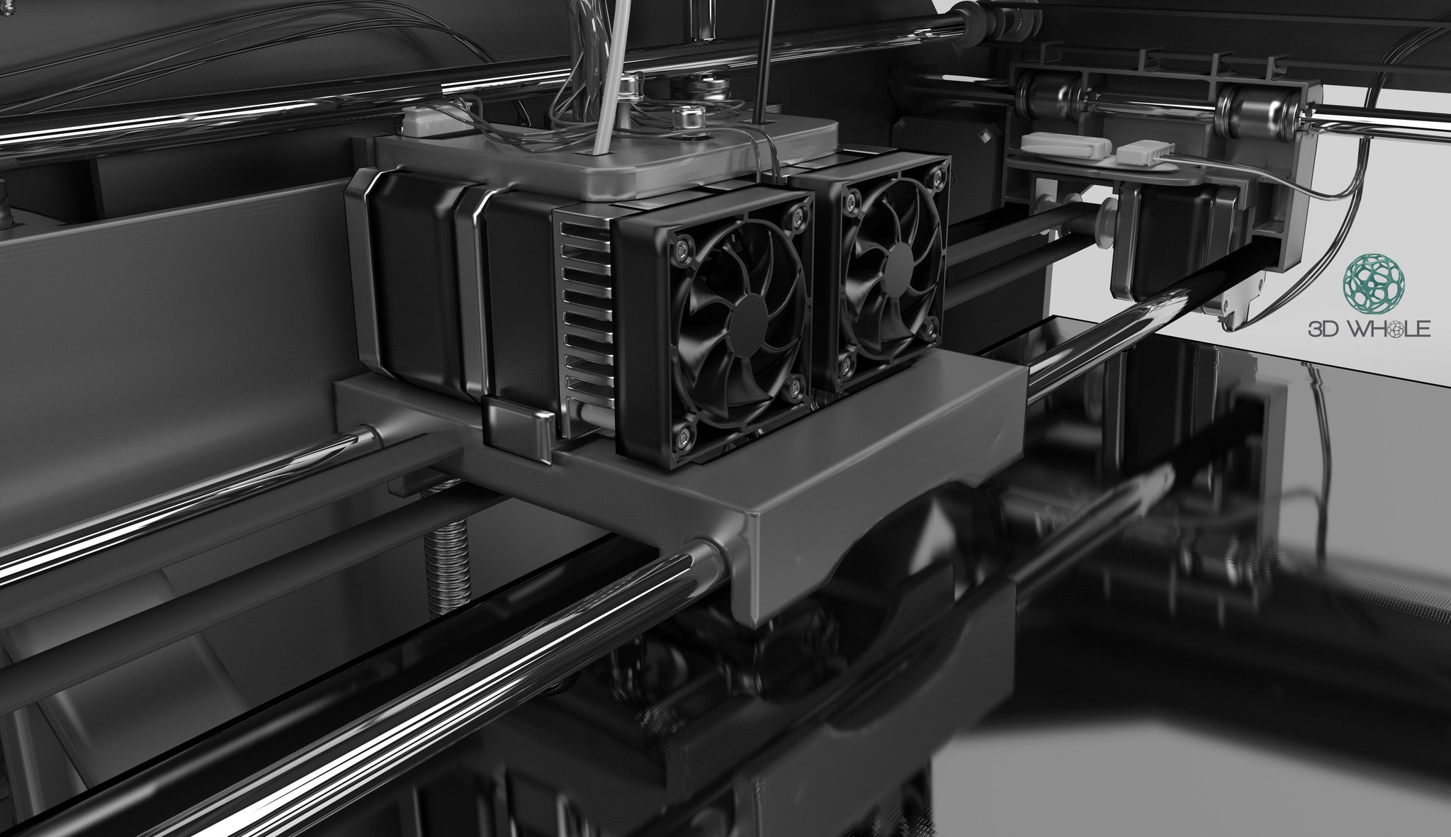 3D Whole (Grupo Cartton)