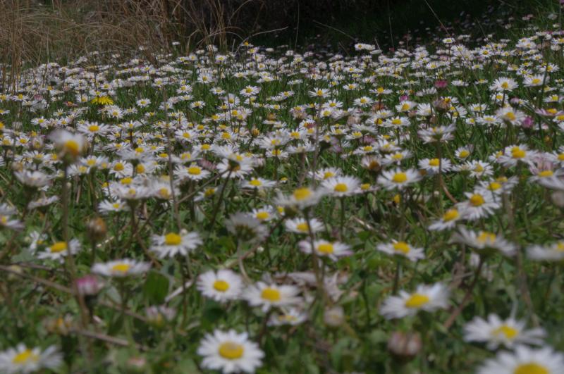 Sin T�tulo Ed-Gb 21[;;;][;;;]