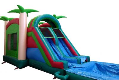 Hinchable Acu�tico con Palmeras