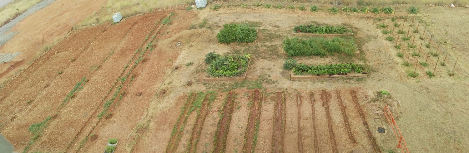 Networking para emprendedor@s CAFE-CREA