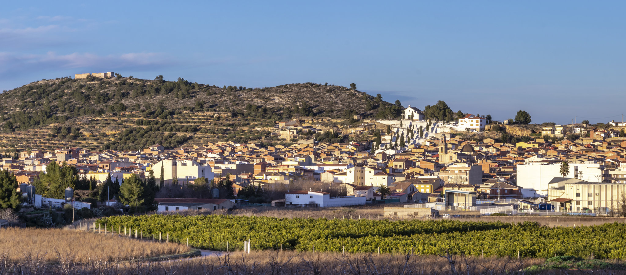 AEDL Ajuntament de Navarr�s