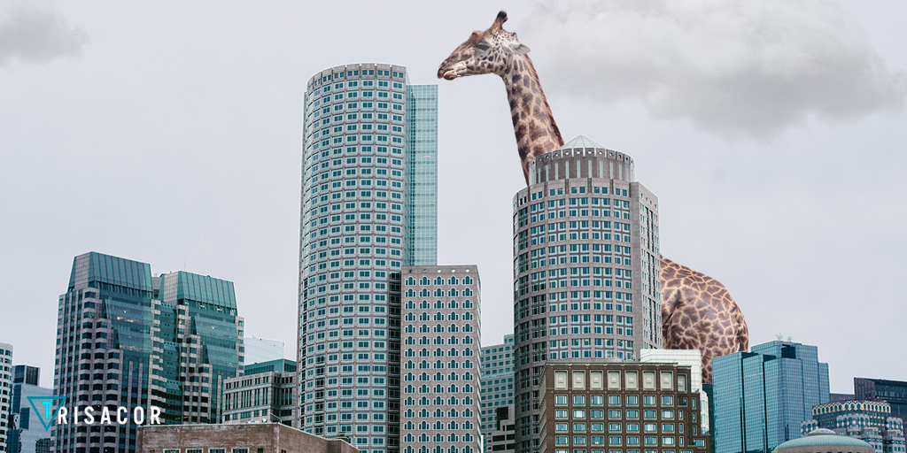 4 edificios de construcci�n moderna en el mundo