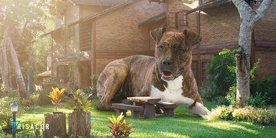 5 Tendencias en reformas de ba�os 2020