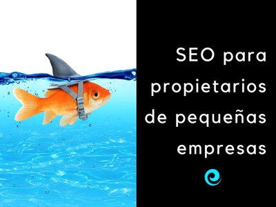 Gu�a de SEO para propietarios de peque�as empresas