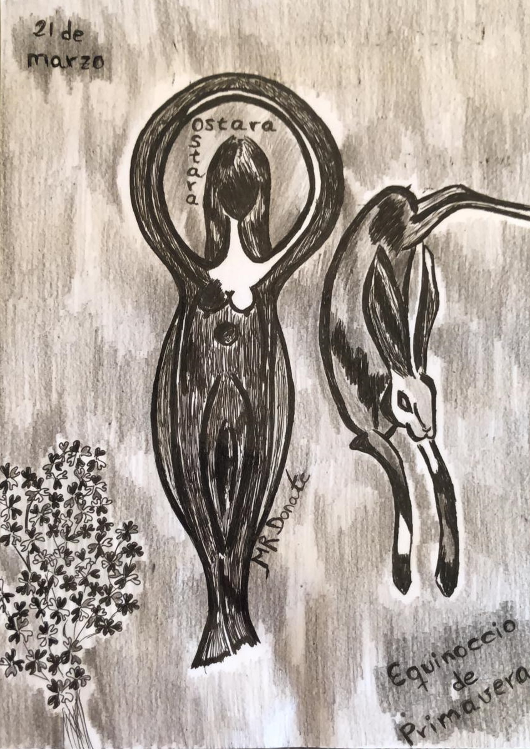 Piknately, ONG Verbo y Palabra