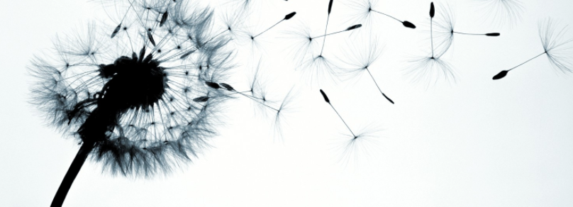 Acusttel - Ac�stica y Telecomunicaciones, S.L.