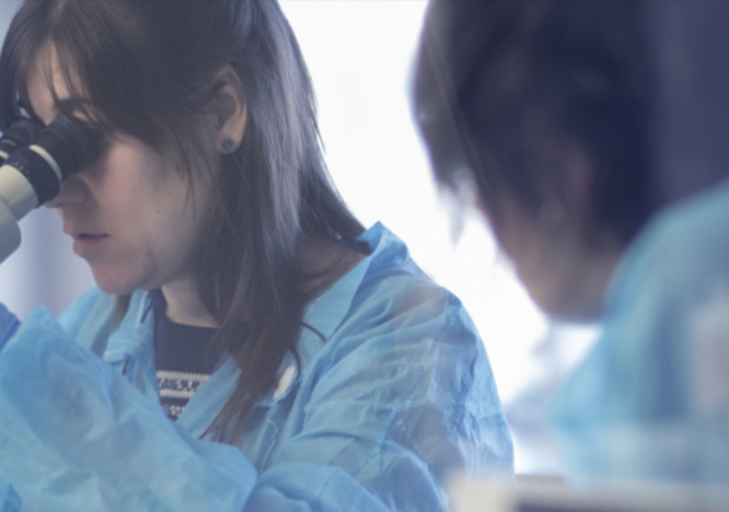 ADM Lifesequencing S.L. 