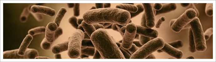 Investigaciones y Aplicaciones Biotecnol�gicas, S.L.