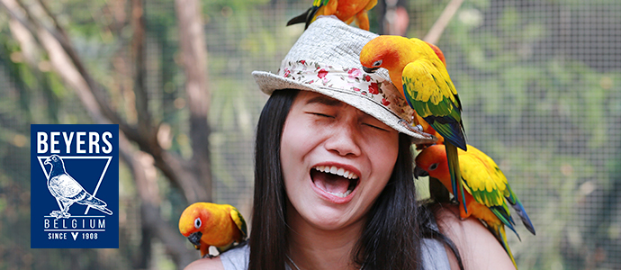 La mejor alimentaci�n para tus aves | Agroanimal