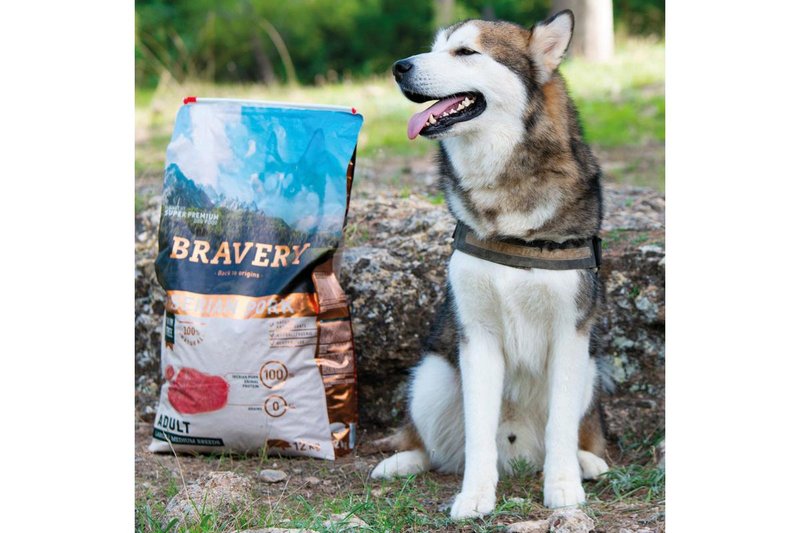 Alimento Seco para Perros - Bravery