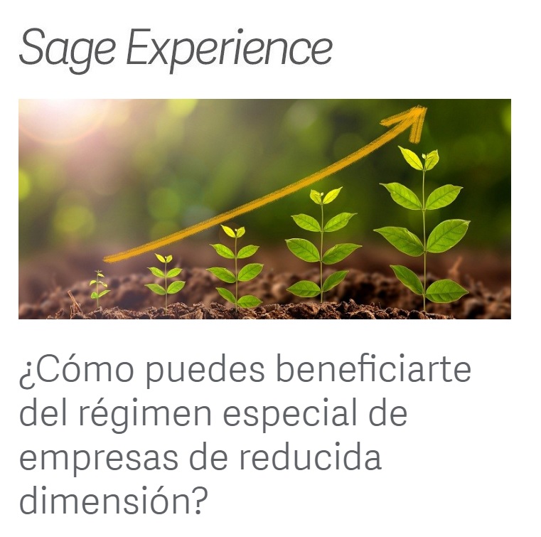 �C�mo beneficiarse del r�gimen especial de empresas de reducida dimensi�n?