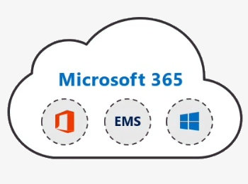 Nuevo art�culo en nuestro blog: Microsoft 365
