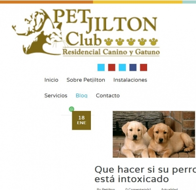Nuestro Blog