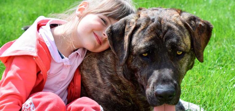 �Es bueno criar a los ni�os con animales?