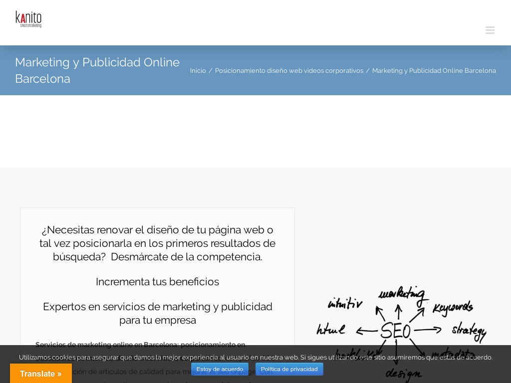 Marketing y Publicidad Online Barcelona - Dise�o web Barcelona