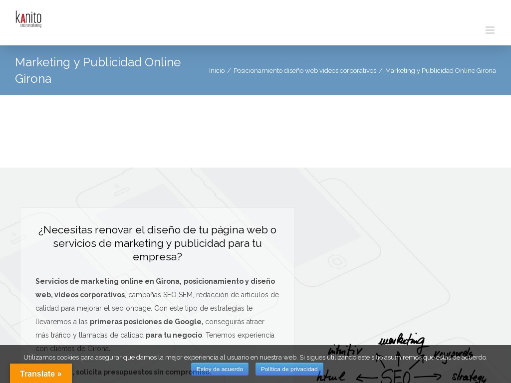 Marketing y Publicidad Online Girona - dise�o web girona agencia