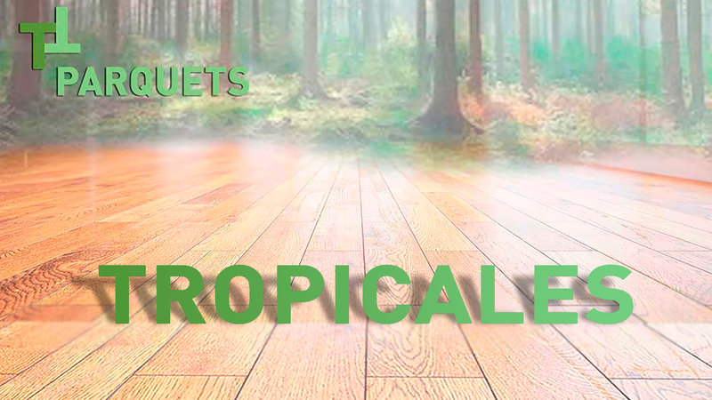 Parquets Tropicales