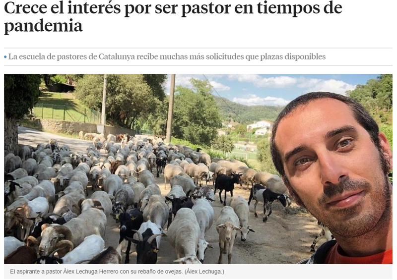 Crece el inter�s por ser pastor en tiempos de pandemia
